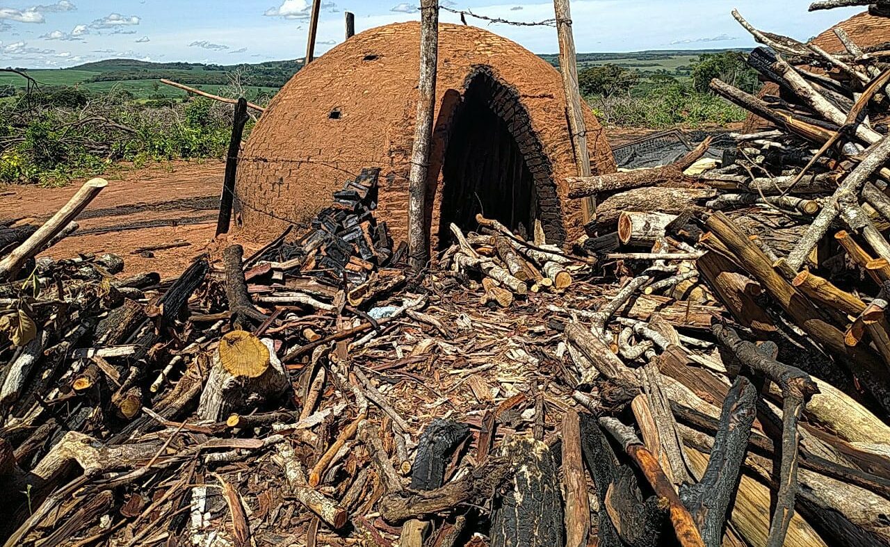 Carvoaria estaria funcionando ilegalmente no município | Foto: Semad