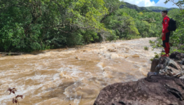 Chapada dos Veadeiros