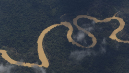 Rio Amazonas