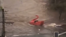 Pedalinhos do Lago das Rosas escaparam com alto volume de água das chuvas | Foto: Reprodução/Twitter