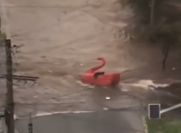 Pedalinhos do Lago das Rosas escaparam com alto volume de água das chuvas | Foto: Reprodução/Twitter