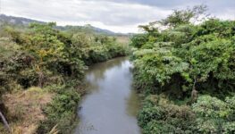 Pesquisadores irão percorrer os 40 quilômetros de extensão do rio no perímetro urbano de Goiânia | Foto: Divulgação/Emater-GO