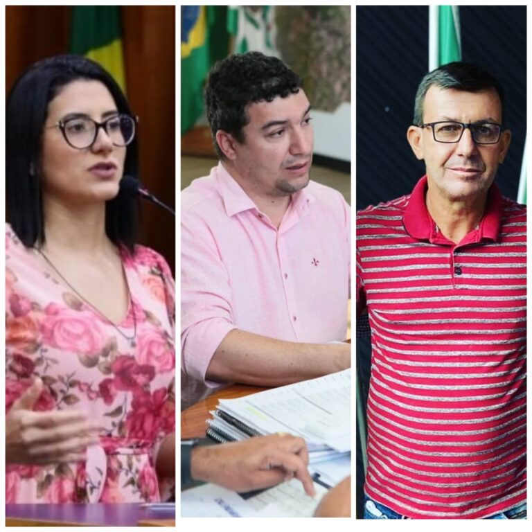Vereadora retorna para Câmara | Foto: reprodução