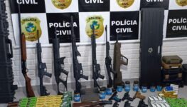 Polícia apreende 14 armas em casa de CAC | Foto: PC-GO