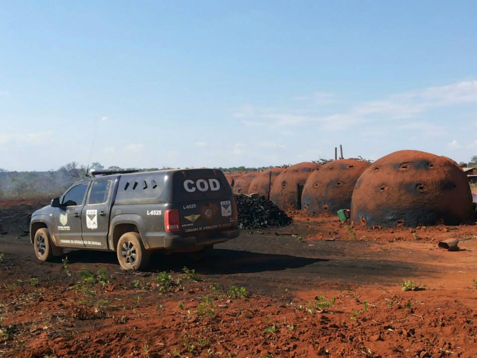 Carvoarias clandestinas em Goiás | Foto: Governo de Goiás