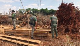 Cerrado destruído | Foto: divulgação/Gov. de Goiás