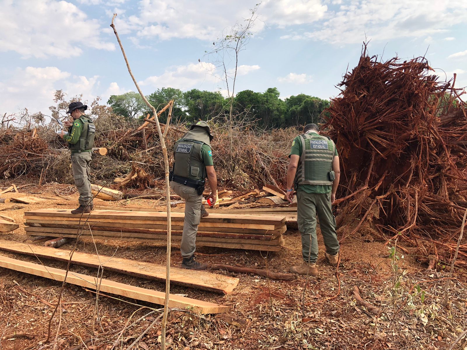 Cerrado destruído | Foto: divulgação/Gov. de Goiás