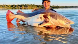 goiano recorde pesca
