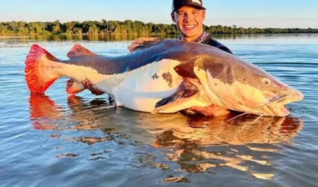 goiano recorde pesca