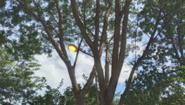 Prefeitura faz manutenção de iluminação de parque | Foto: Seinfra