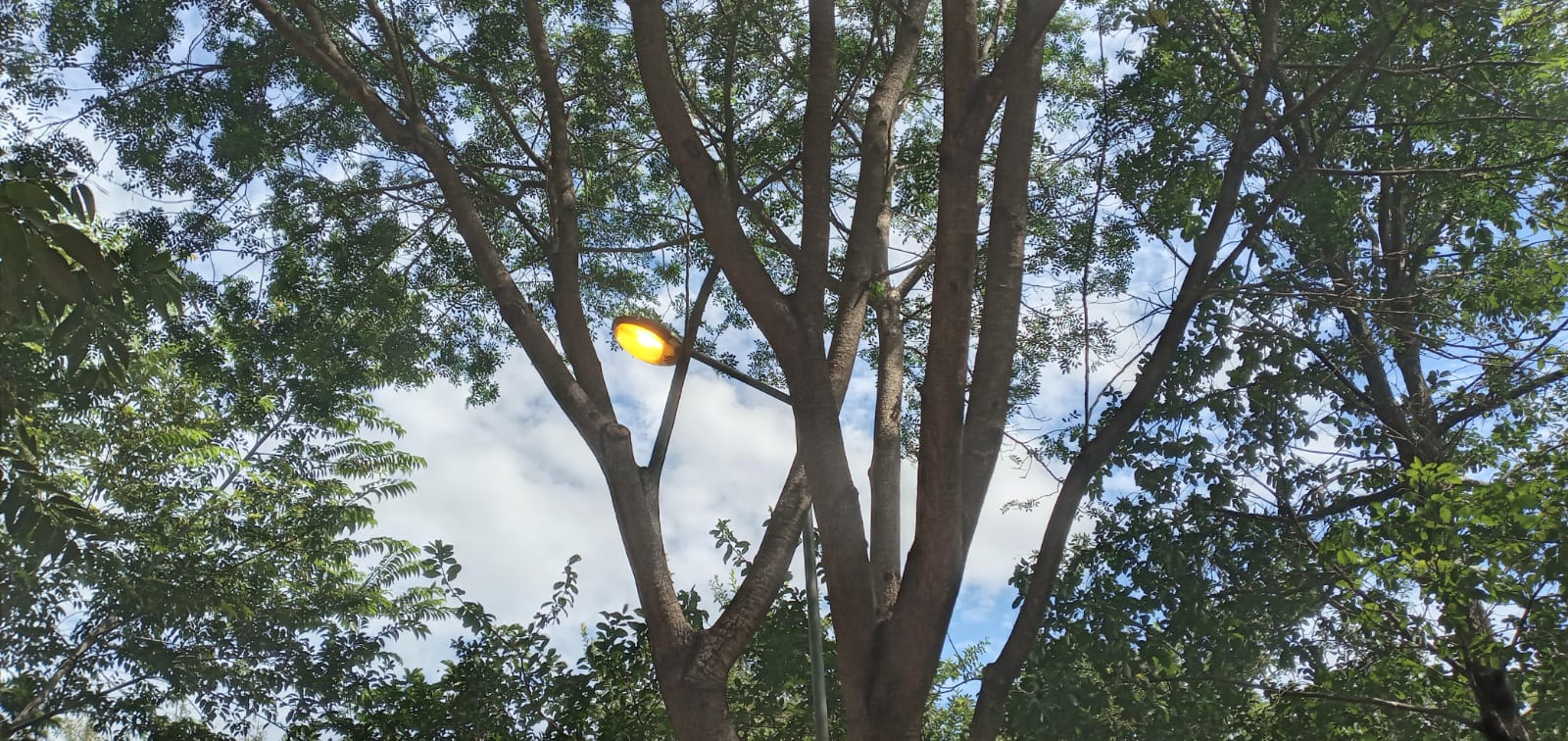 Prefeitura faz manutenção de iluminação de parque | Foto: Seinfra