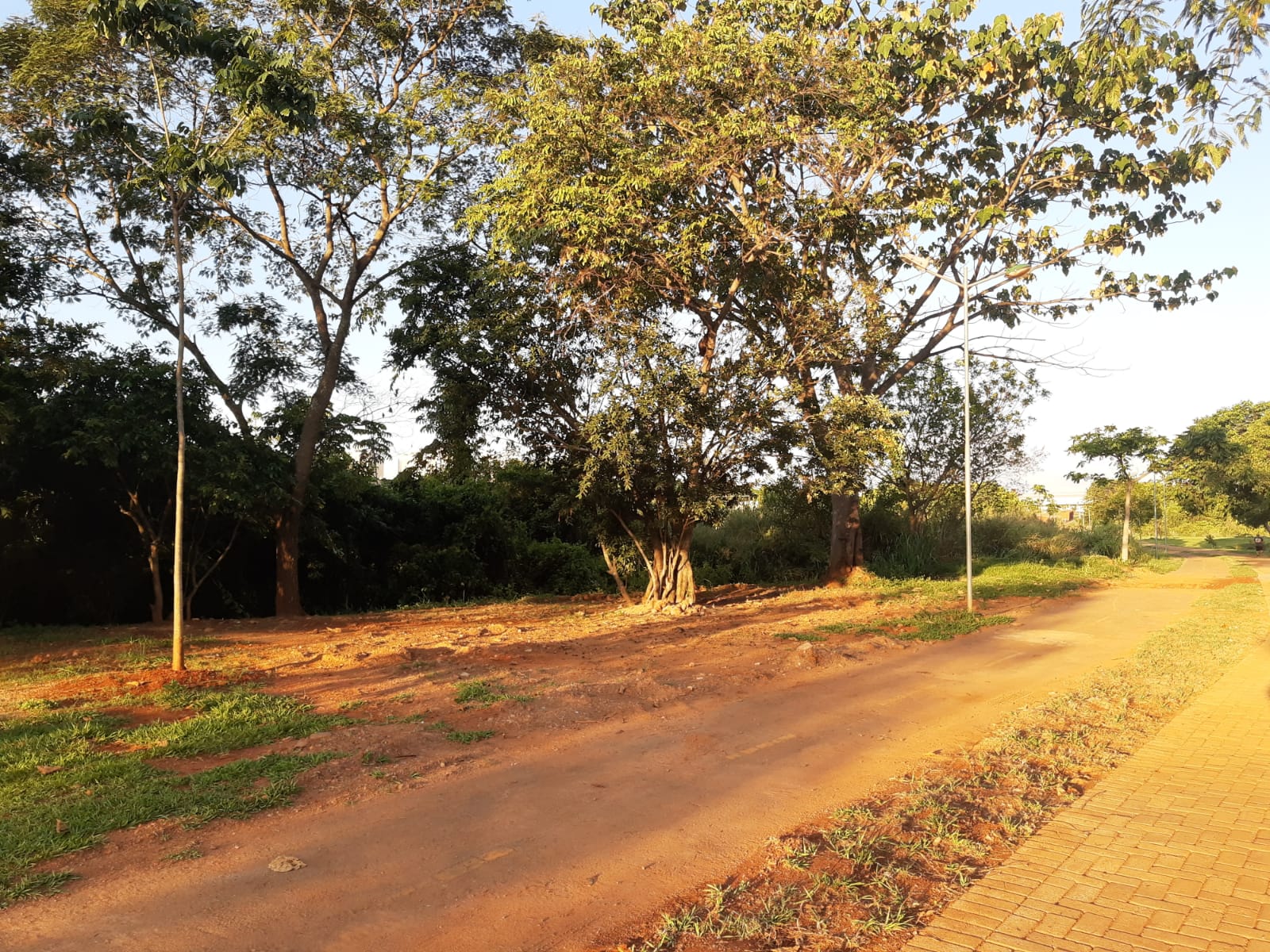 Parque Leolídio di Ramos Caiado, em Goiânia | Foto: divulgação/leitor Jornal Opção