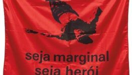 Seja Marginal, Seja Herói | Foto: Twitter