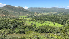 Região com água quente na Chapada dos Veadeiros | Foto: divulgação