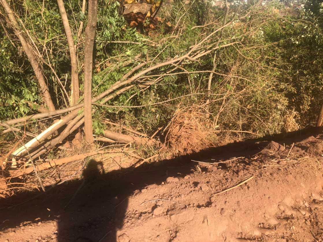 Seinfra informa que equipes abrem rua no Parque Cascavel | Foto: leitor Jornal Opção