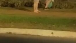 Furto Flores Goiânia