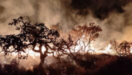 Incêndio na Chapada dos Veadeiros | Foto: CBM-GO