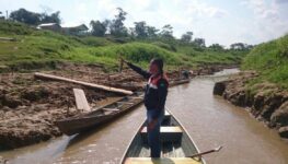 Seca Amazonas