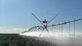 Cristalina agro