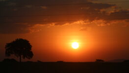 Calor, sol, por do sol, sol vermelho, tempo, temperatura,