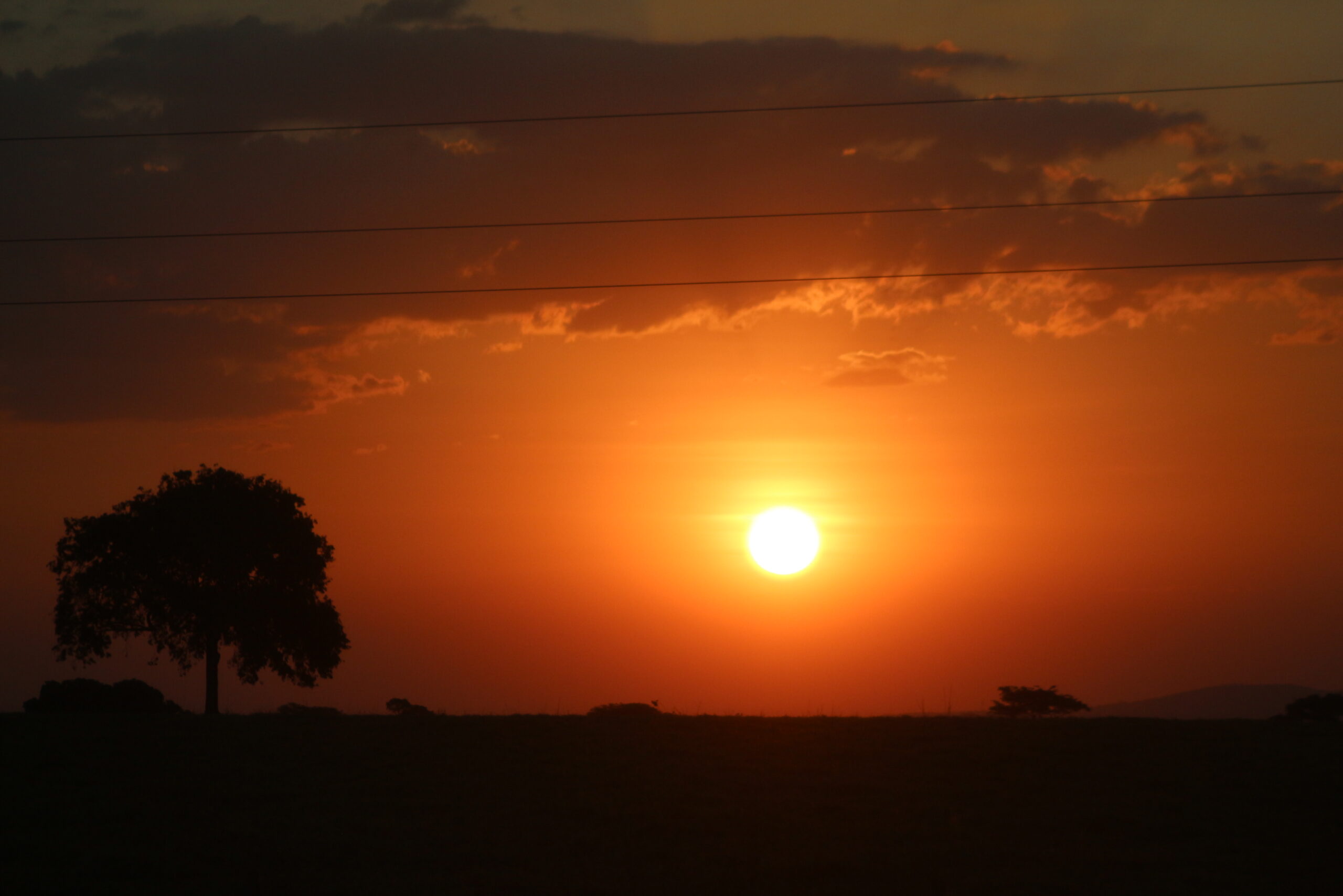 Calor, sol, por do sol, sol vermelho, tempo, temperatura,