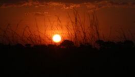 Calor, sol, por do sol, sol vermelho, tempo, temperatura,