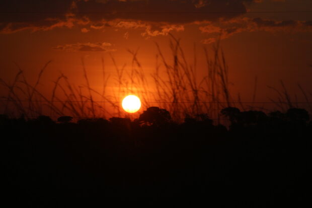 Calor, sol, por do sol, sol vermelho, tempo, temperatura,