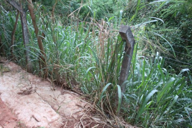 Mata cobre erosão ao fundo do residencial | Foto: LeoIran/Jornal Opção