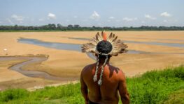 Amazônia seca