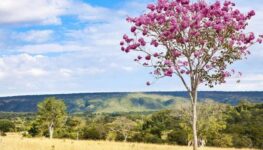 Parque Estadual da Serra de Caldas Novas