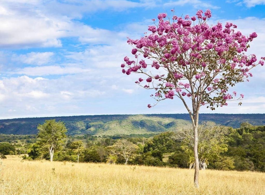 Parque Estadual da Serra de Caldas Novas