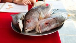 Peixes