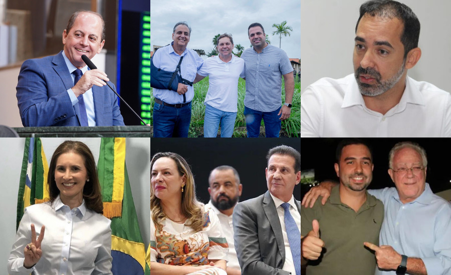 Eleições 2024 em Goiás | Foto: Alego/divulgação/reprodução