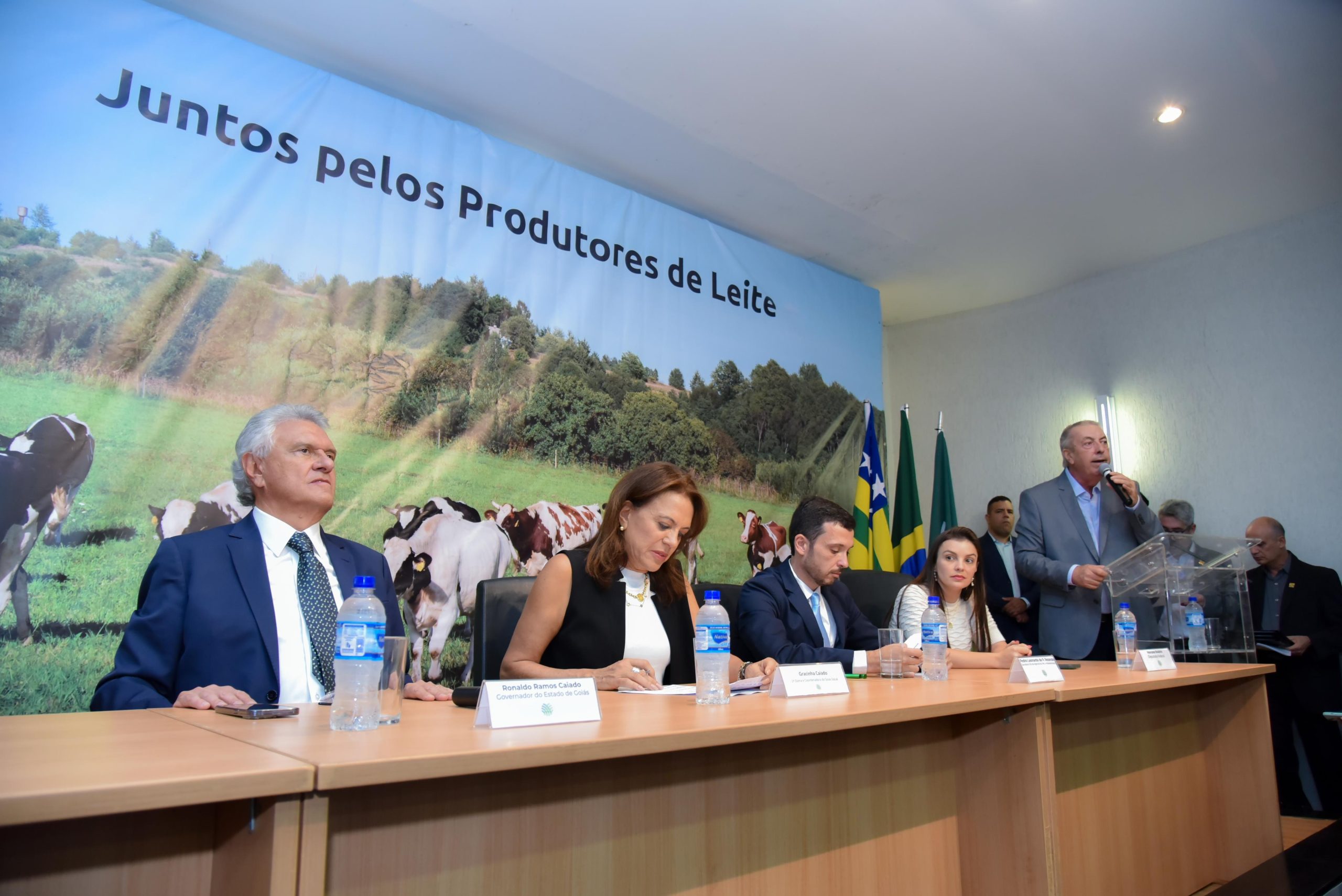 Caiado setor leiteiro