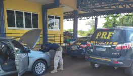 Carro financiado furtado no Estado de Minas Gerais é recuperado em Goias | Foto: divulgação/PRF