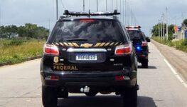 Agentes da PF em operação | Foto: divulgação/PF