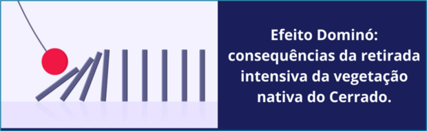 Cerrado é o efeito dominó