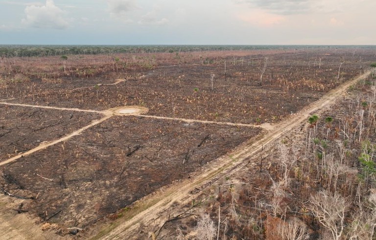 Polícia Federal desarticula rede criminosa de desmatamento e queimadas no Amazonas em Operação Dracarys | Foto: PF-Acre/Divulgação