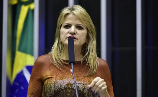 Flávia Morais foto da Câmara dos Deputados
