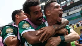 palmeiras