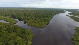Araguaia em Foco