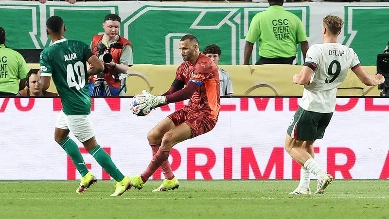 palmeiras-6