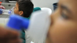 Virus respiratório EBC