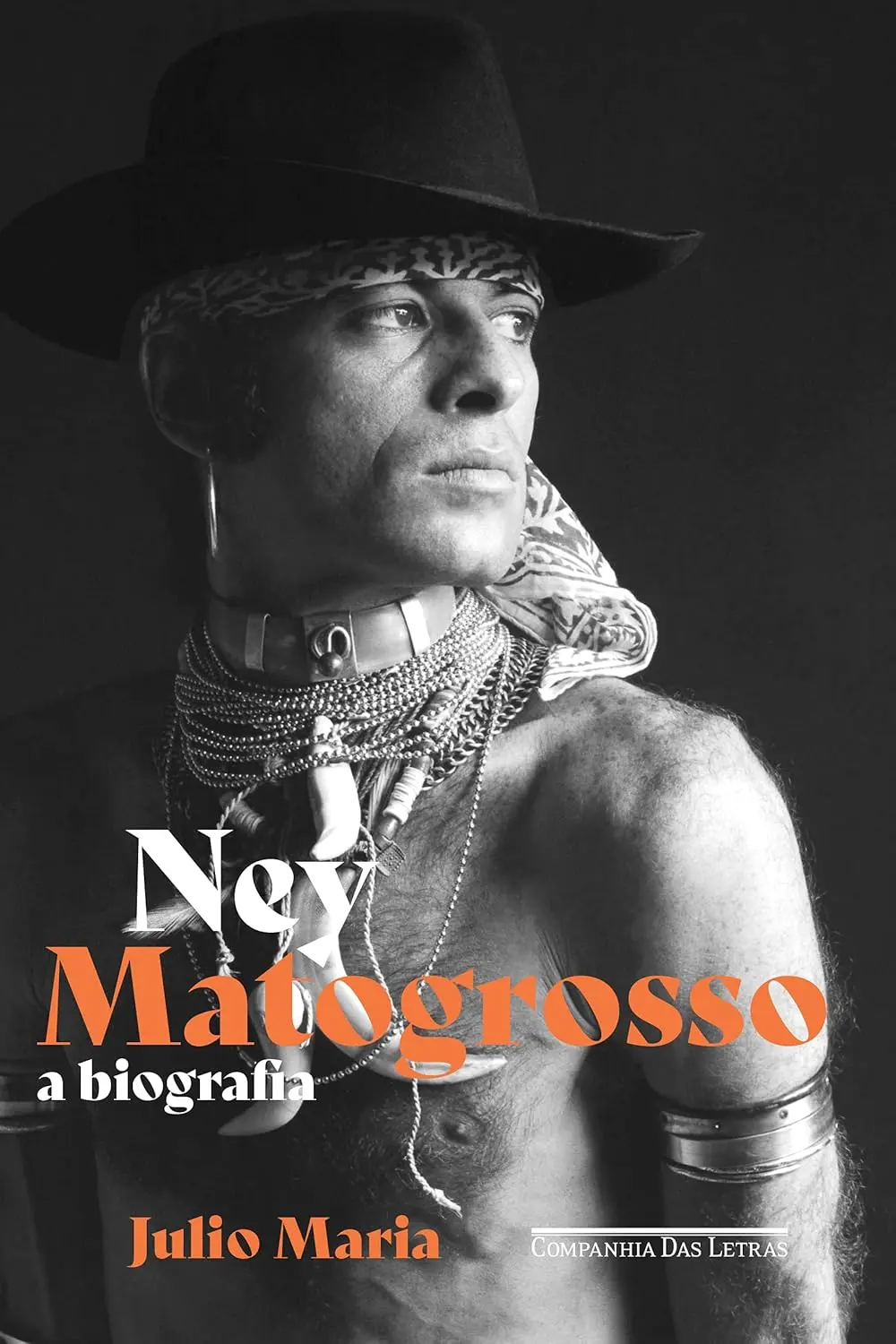 Ney Matogrosso capa de livro 1