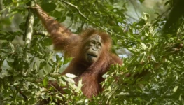 nationalgeographic2815123