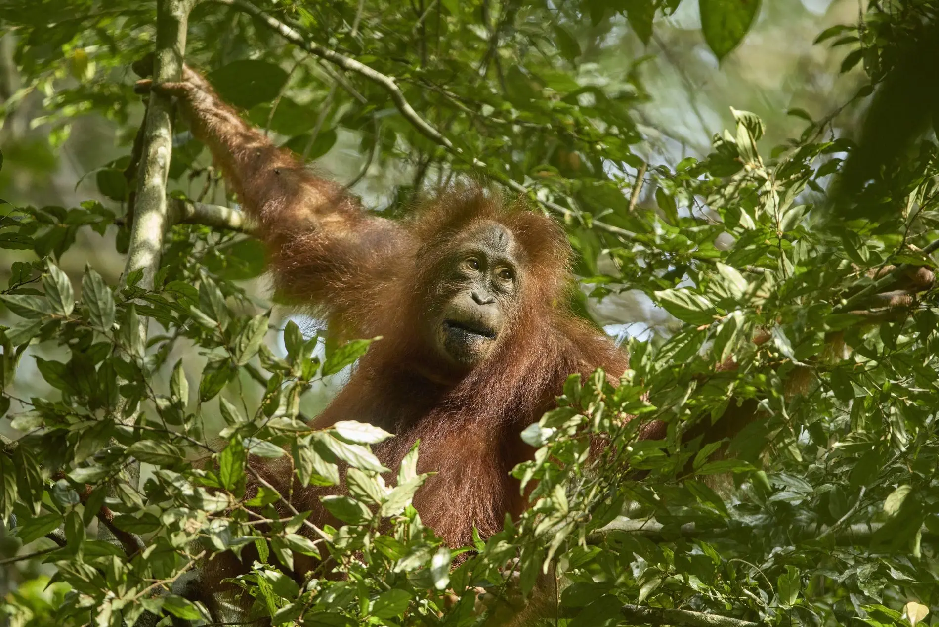 nationalgeographic2815123