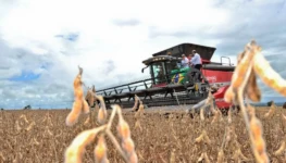 Agricultura em Goiás
