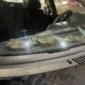 Cobra em carro