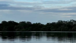 Araguaia em foco