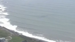 f638x638-155483_213650_5050